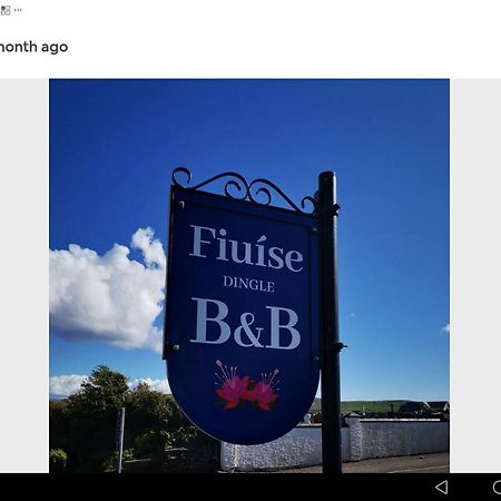 Fiuise B&B Dingle Exterior foto