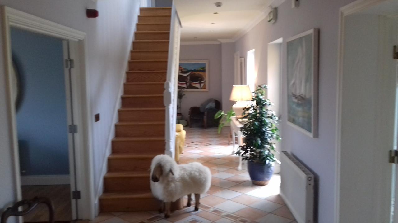 Fiuise B&B Dingle Exterior foto